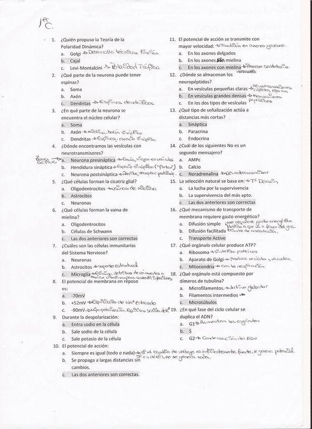 Miniatura del documento Examen Psicobiologia(1) (3).jpg