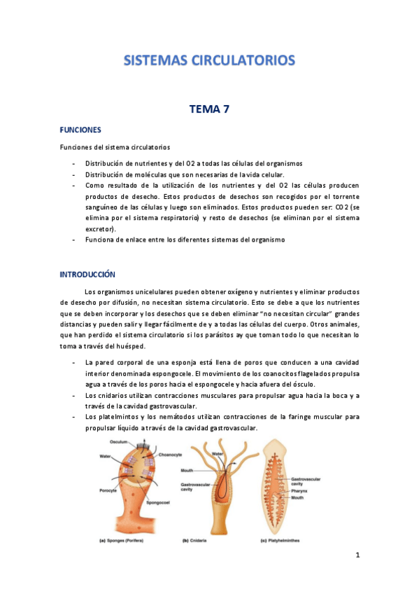 Miniatura del documento Sistema-circulatorio-F-Animal.pdf