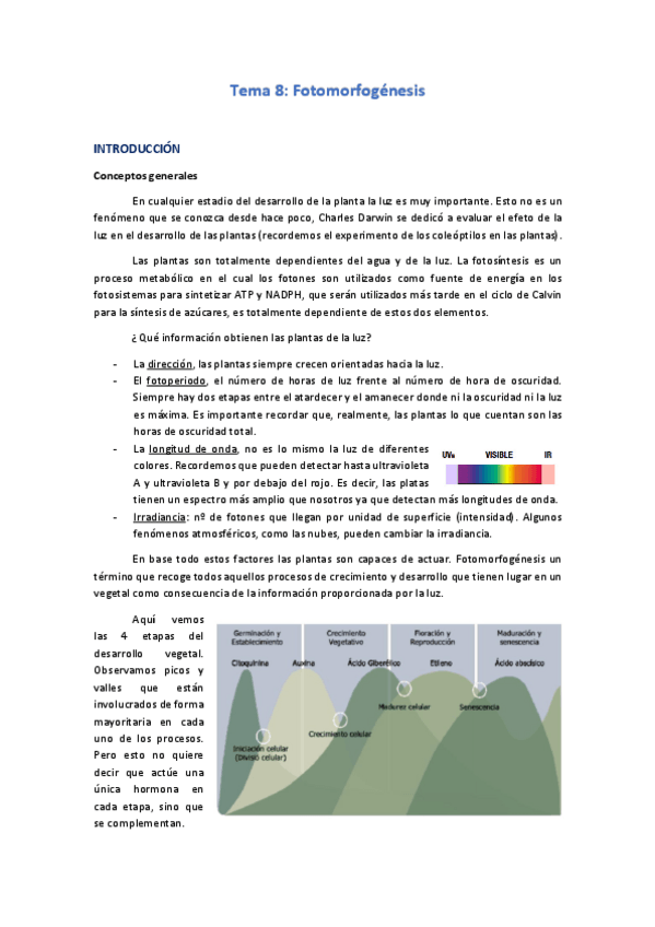 Miniatura del documento Tema-8-y-articulo-F-Vegetal-II.pdf