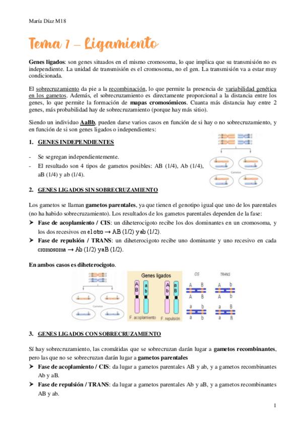 Miniatura del documento t7.pdf