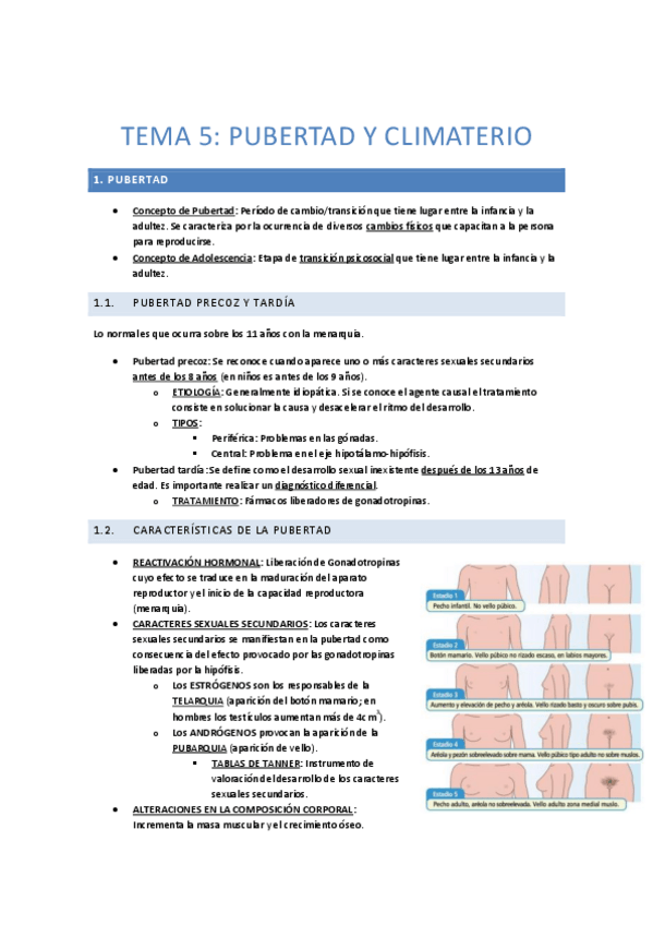 Miniatura del documento 5.pdf