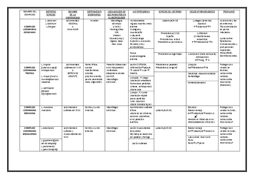 Miniatura del documento CUADRO RESUMEN LEISHMANIA PDF.pdf