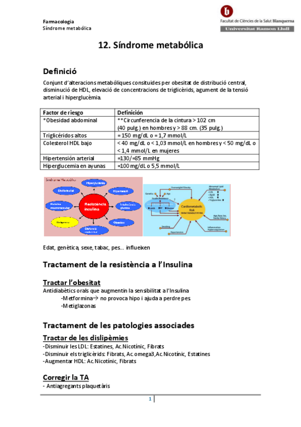 Miniatura del documento 12-Sindrome-metabolica.pdf