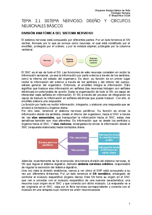 Miniatura del documento TEMA 2. SISTEMA NERVIOSO.pdf