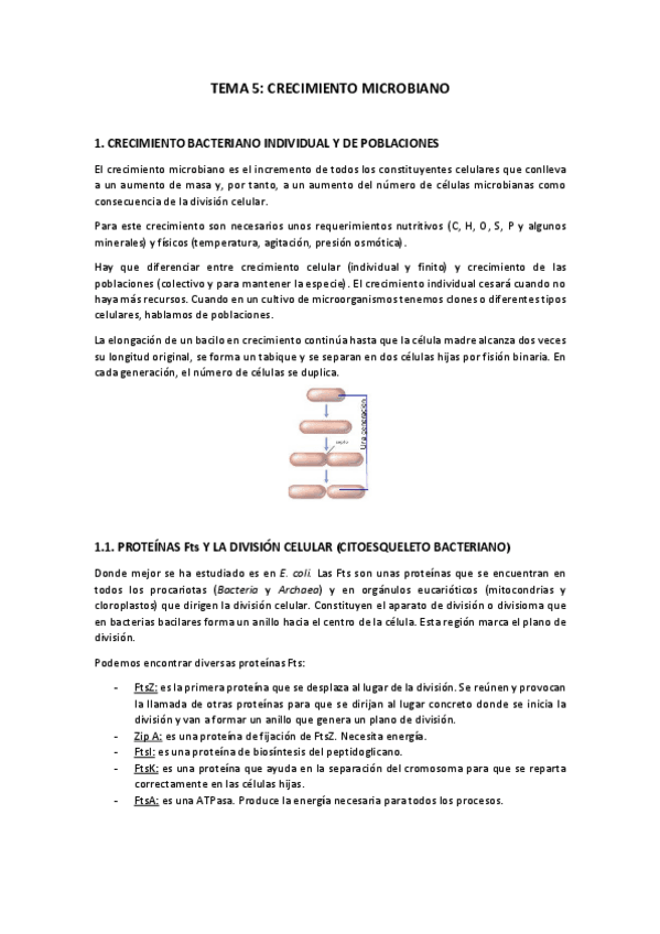 Miniatura del documento Tema-5.pdf
