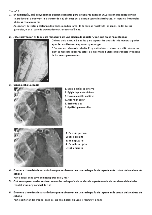 Miniatura del documento Quinielas-DPI-segundo-cuatri.pdf