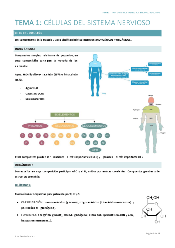 Miniatura del documento Fundamentos-de-Neurociencia-Conductual-Tema-1-Alba-Sancho.pdf