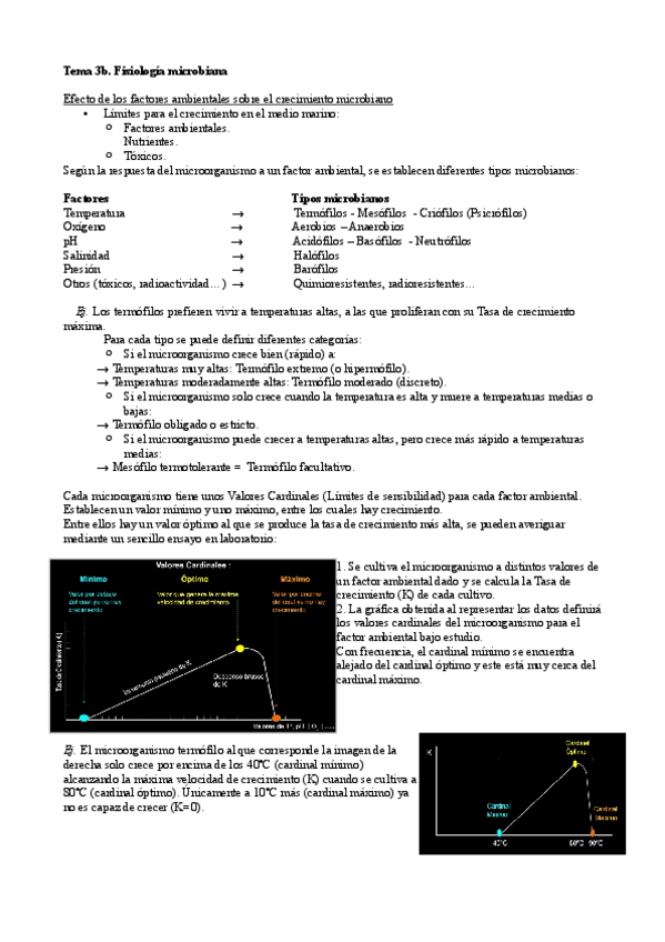 Miniatura del documento Tema-3b.pdf