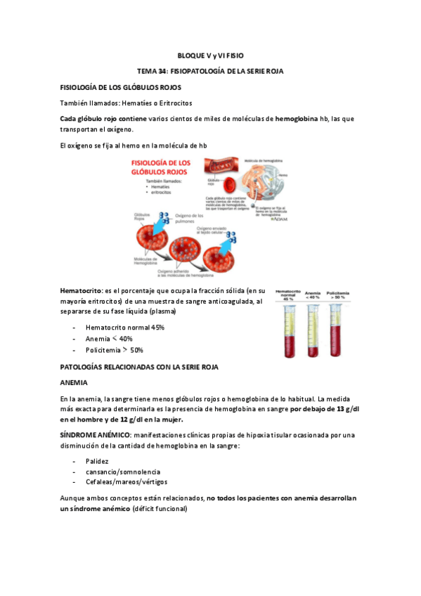 Miniatura del documento Fisio temas 34-49.pdf