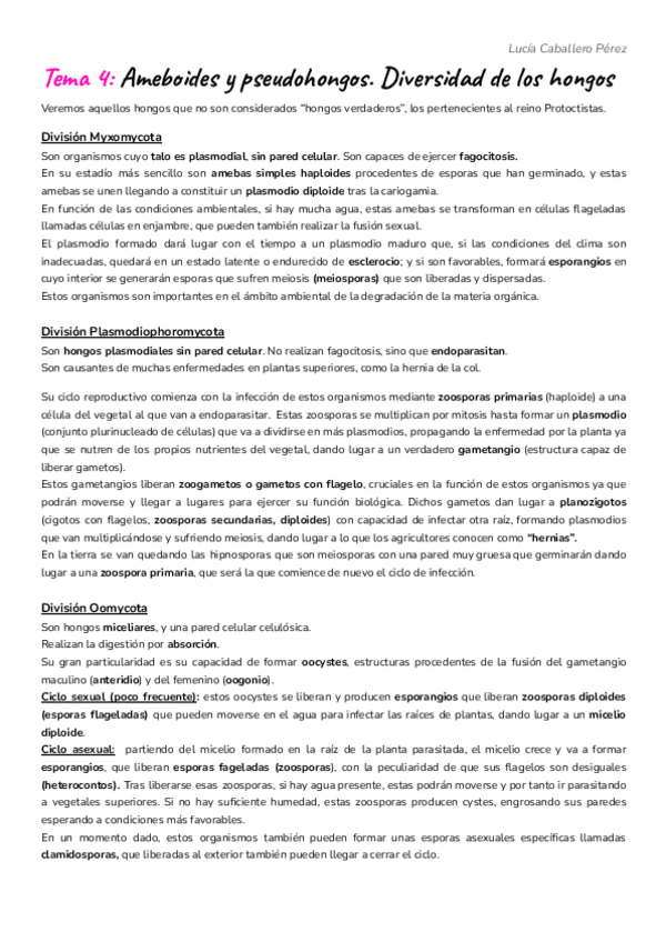Miniatura del documento Tema-4-Ameboides-y-pseudohongos.pdf