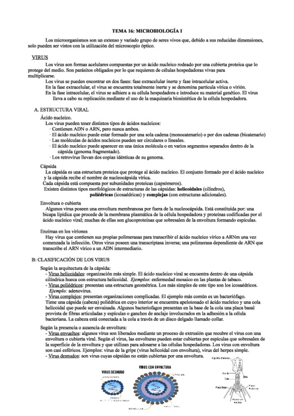 Miniatura del documento Bloque-4-VIRUS.pdf