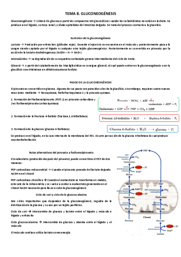 Miniatura del documento Tema-8.pdf