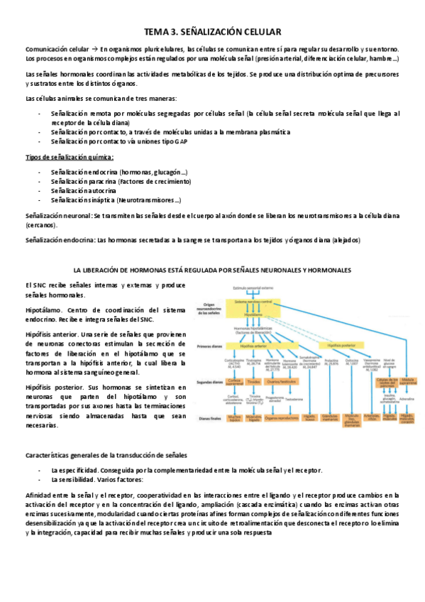 Miniatura del documento Tema-3.pdf
