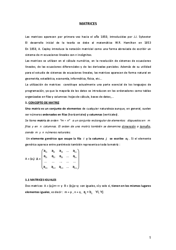 Miniatura del documento MATRICES.pdf
