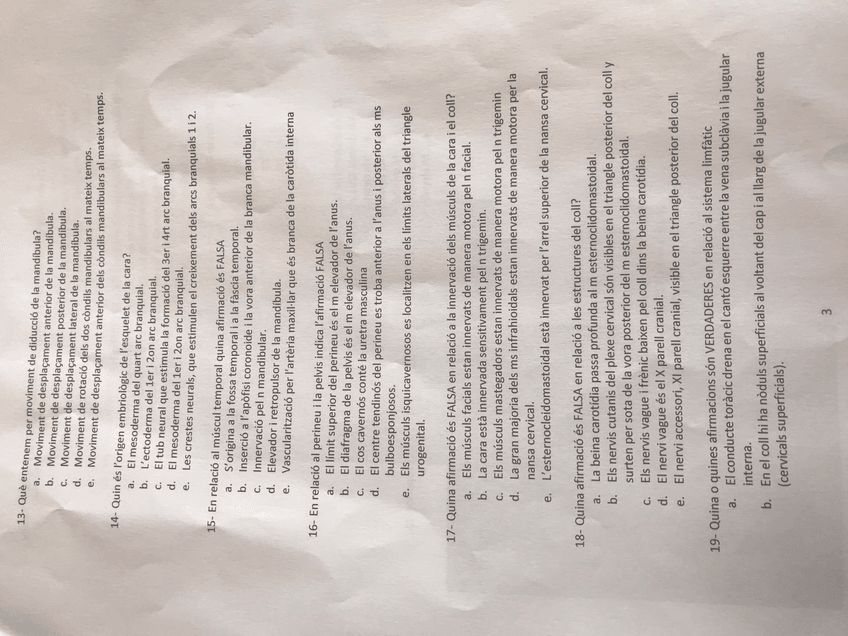 Miniatura del documento IMG9293.jpg