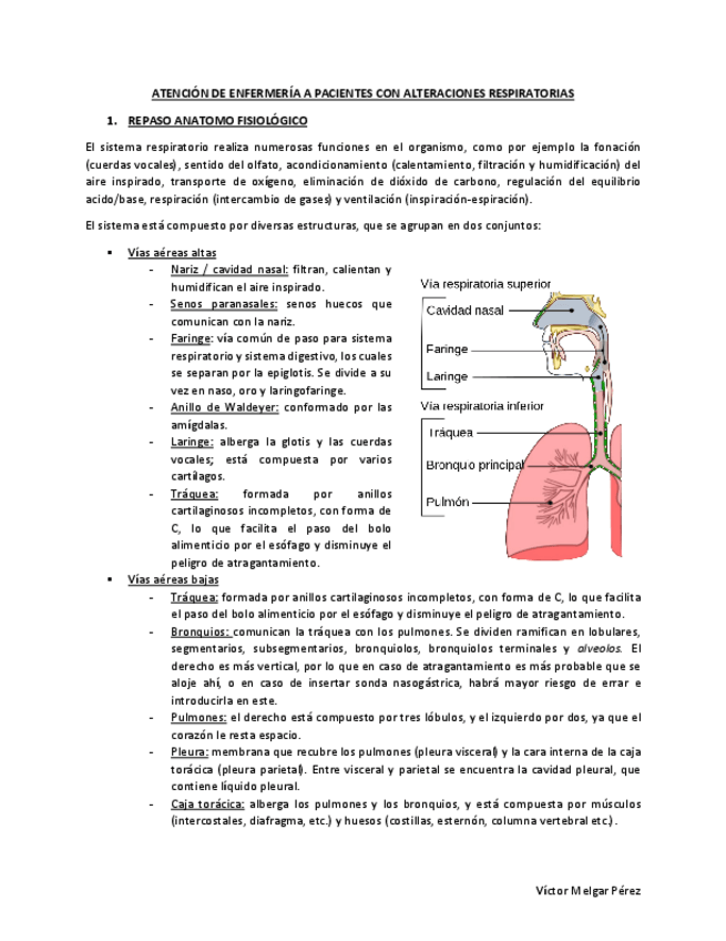 Miniatura del documento Respiratorio-MQ2.pdf