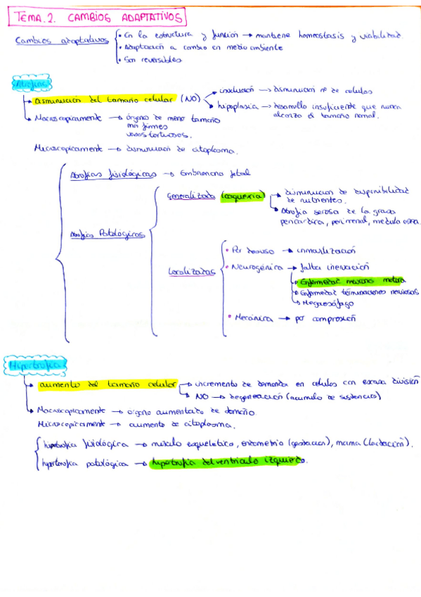 Miniatura del documento Esquemas-APG.pdf