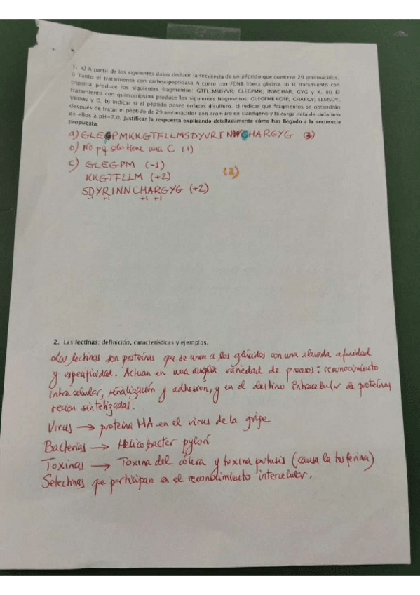 Miniatura del documento Examen-2021.pdf