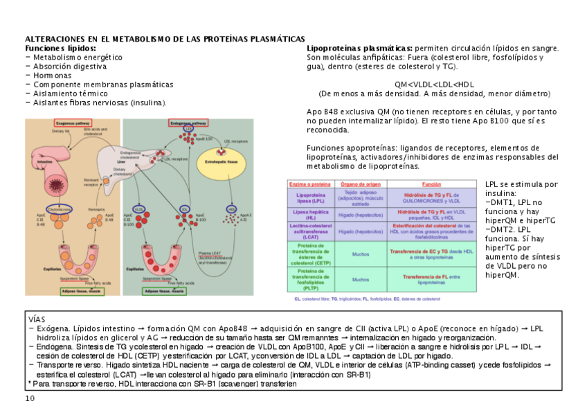 Miniatura del documento alteracion-metab.pdf