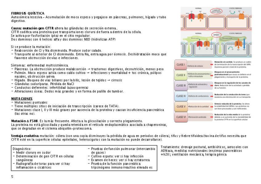 Miniatura del documento fibrosis.pdf