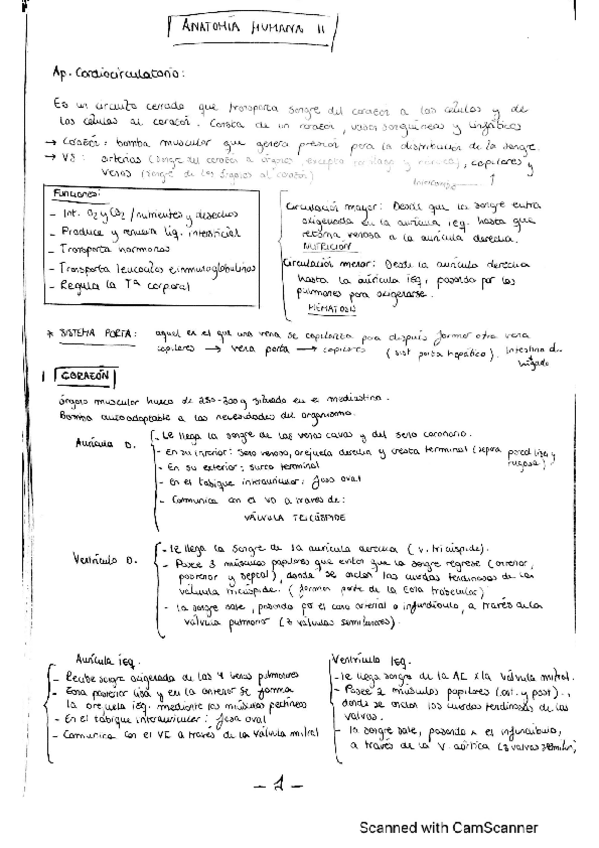 Miniatura del documento CamScanner-05-21-2022-20.pdf