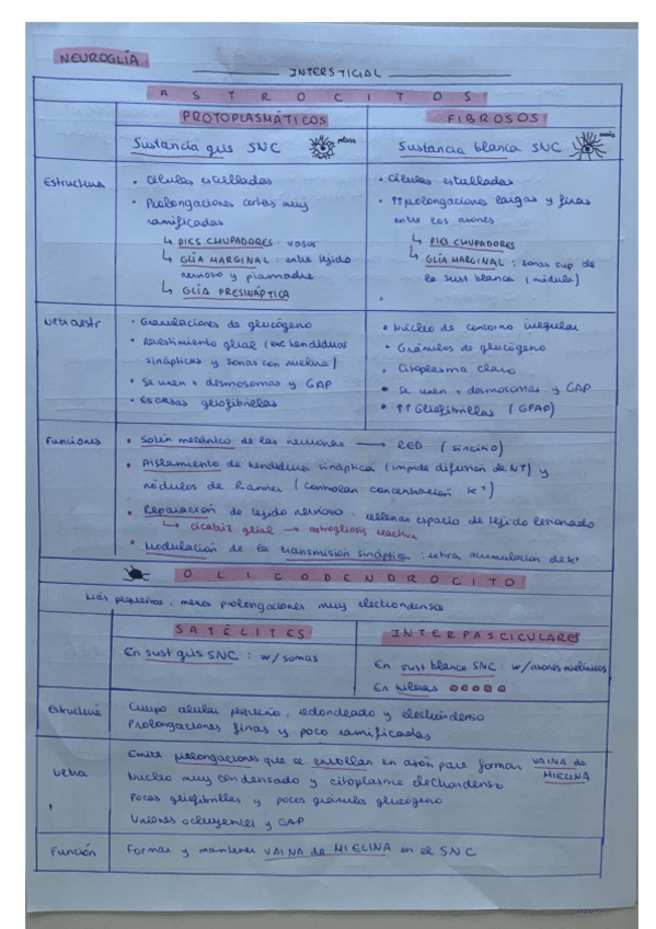 Miniatura del documento esquemas-nervioso-histo.pdf