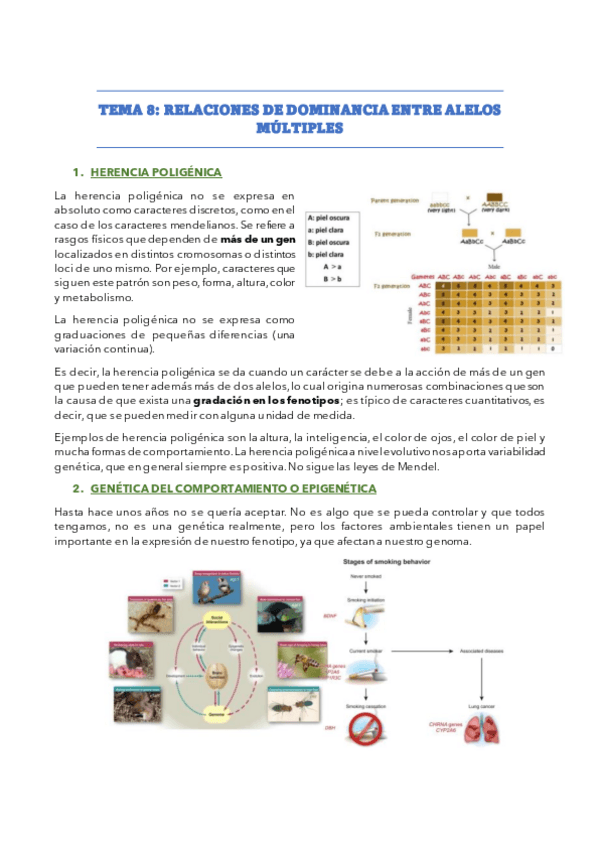 Miniatura del documento BIOCEL-FINAL.pdf