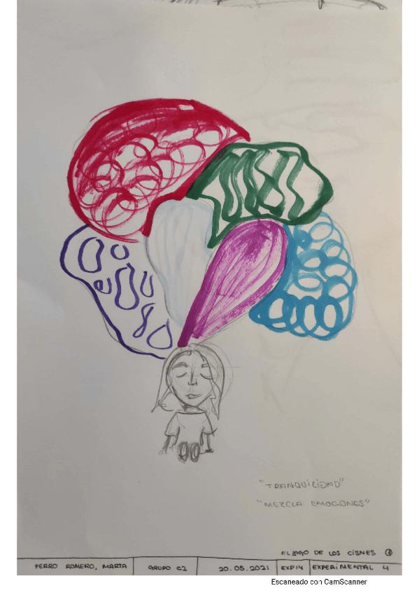 Miniatura del documento FERROROMEROMARTAE14EXPERIMENTAL4.pdf