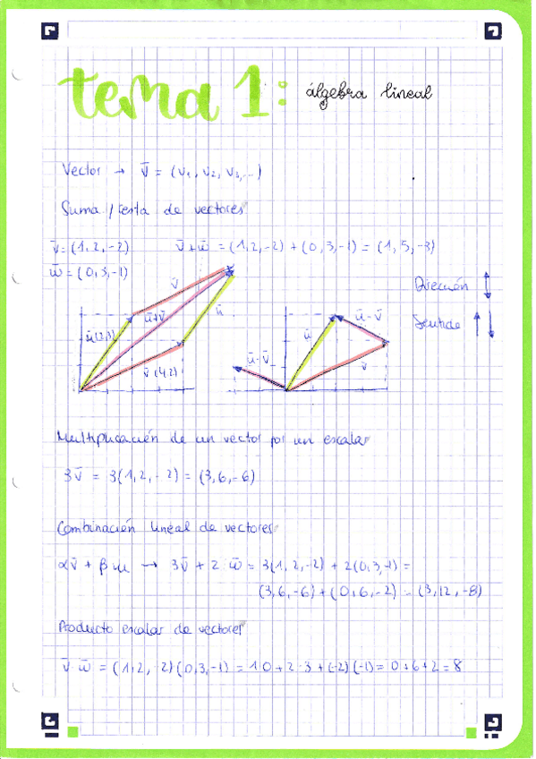 Miniatura del documento Apuntes-tema-1-mates.pdf
