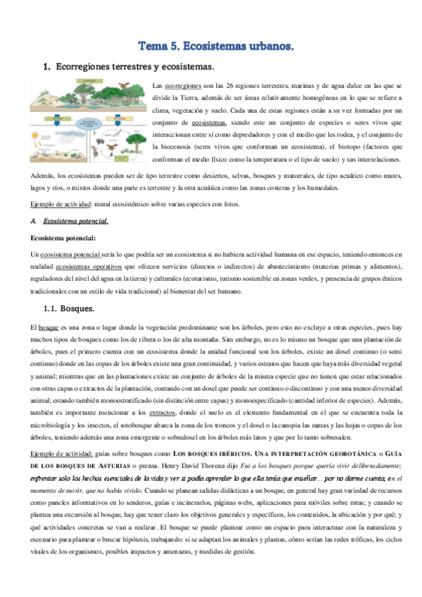 Miniatura del documento Tema-5.pdf