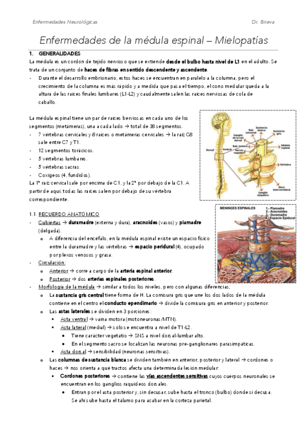 Miniatura del documento M7.pdf