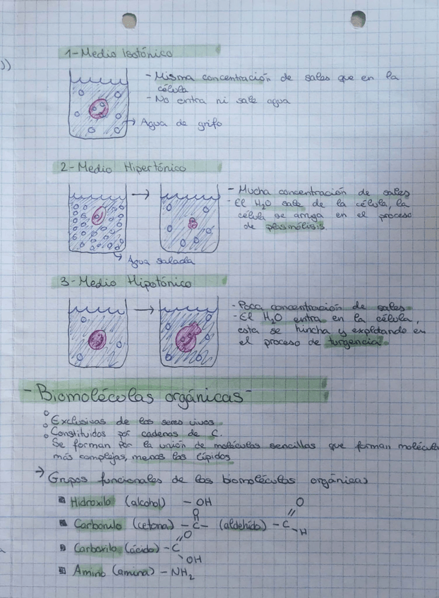 Miniatura del documento Tema7.pdf
