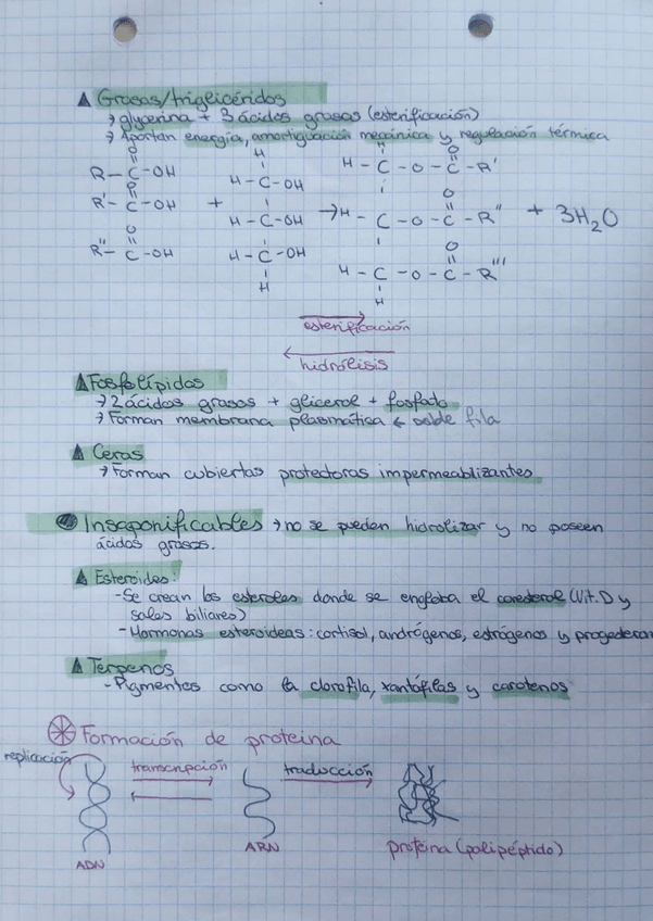 Miniatura del documento Tema7.pdf