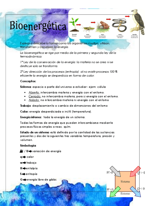 Miniatura del documento Bioenergetica-parte-1.pdf