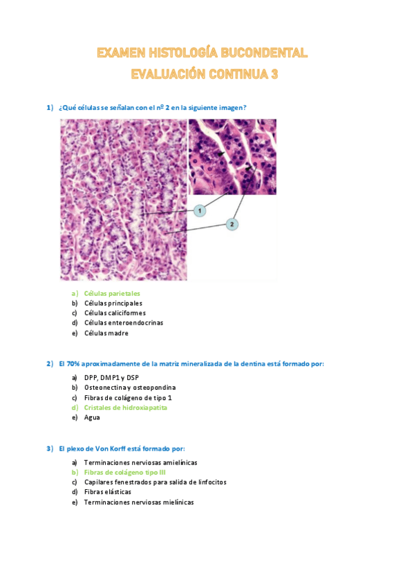Miniatura del documento EXAMEN-3-HISTOLOGIA-BUCODENTAL.pdf