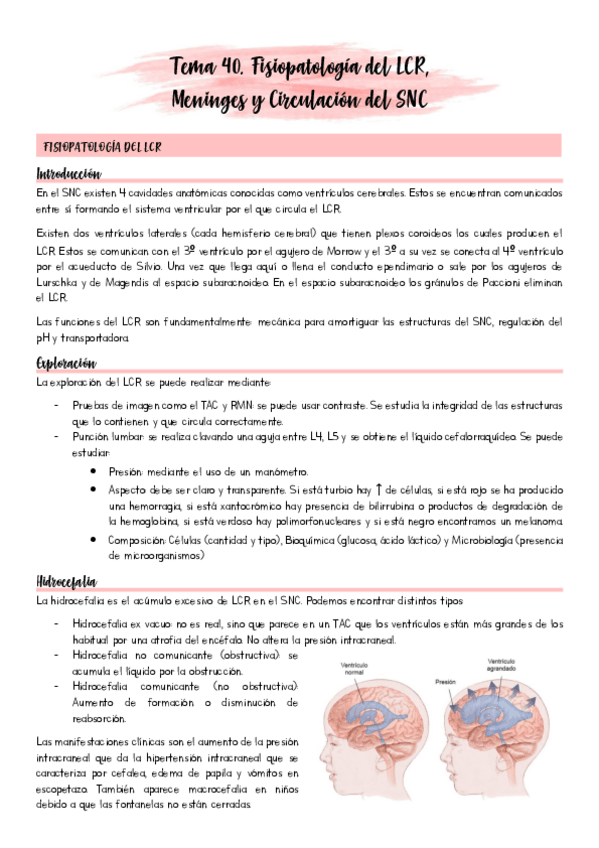Miniatura del documento Tema-40.pdf