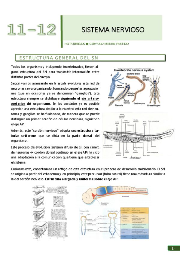 Miniatura del documento 11-y-12.pdf