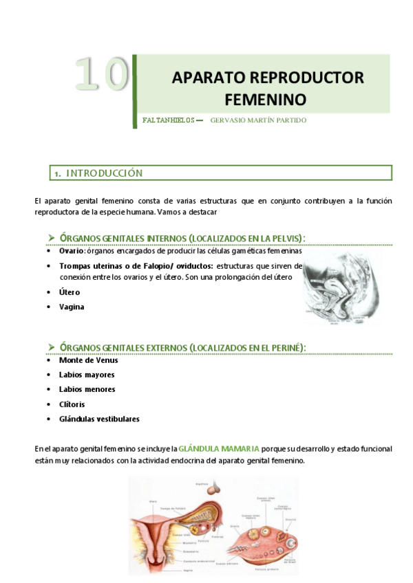 Miniatura del documento 10.pdf