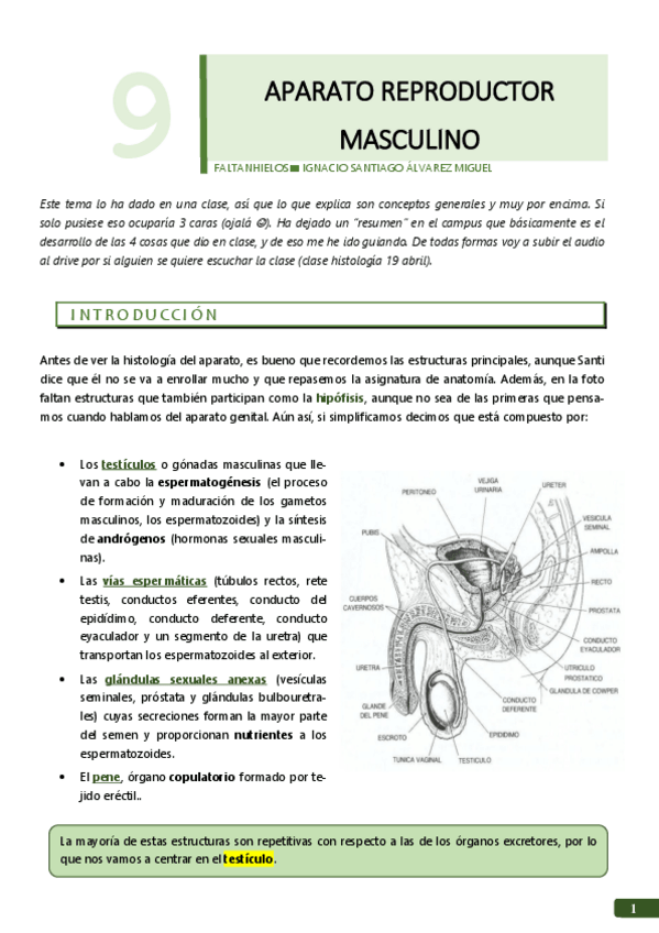 Miniatura del documento 9.pdf