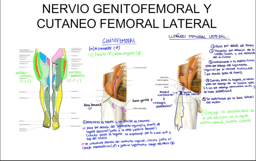 Miniatura del documento D6747D22-207B-4B86-BE23-7624D86C18AB.jpg
