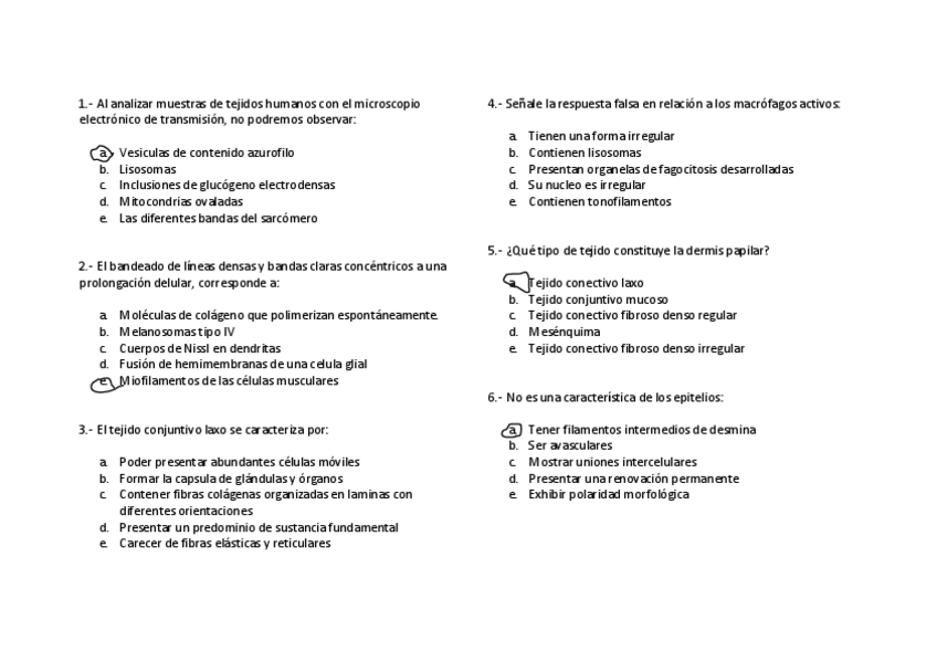 Miniatura del documento ExamenHisto1-preguntas.pdf
