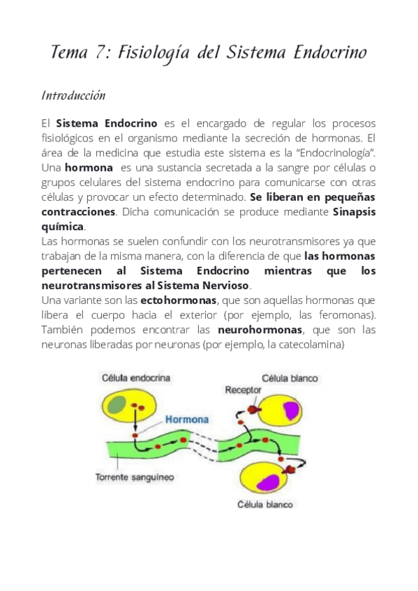 Miniatura del documento T7. El Sistema Endocrino.pdf
