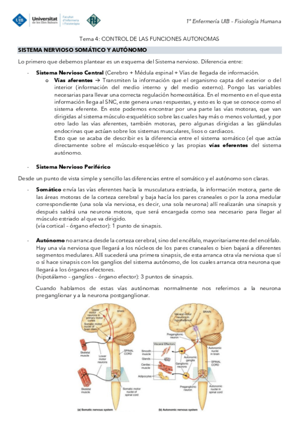 Miniatura del documento Tema-4-Fisiologia-Control-de-las-funciones-autonomas.pdf
