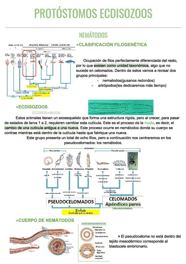 Miniatura del documento T.pdf