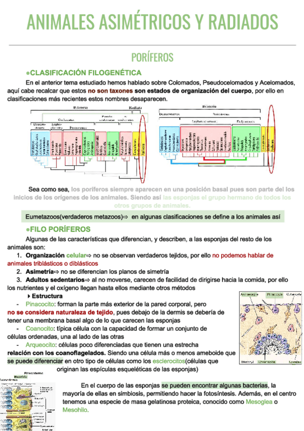 Miniatura del documento T.pdf