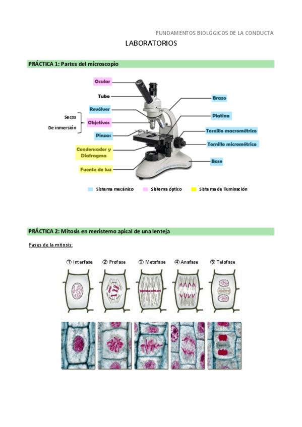 Miniatura del documento Prácticas.pdf