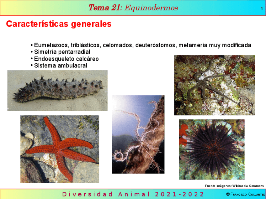 Miniatura del documento Tema21.pdf