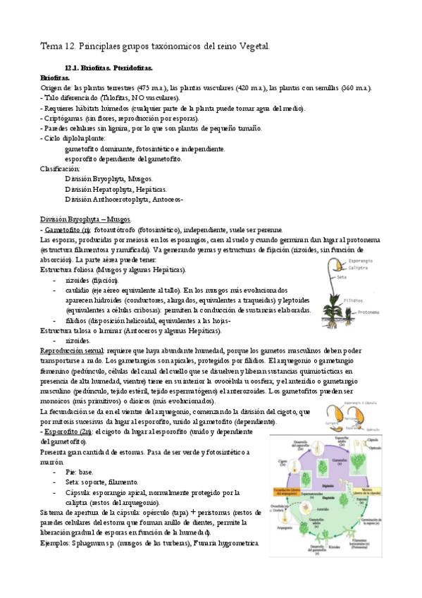 Miniatura del documento TEMA-12.pdf