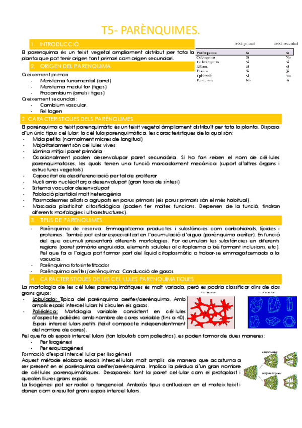 Miniatura del documento T5-PARENQUIMES.pdf