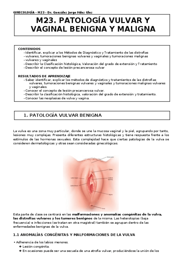 Miniatura del documento M23.-PATOLOGIA-VULVAR-Y-VAGINAL-BENIGNA-Y-MALIGNA.docx